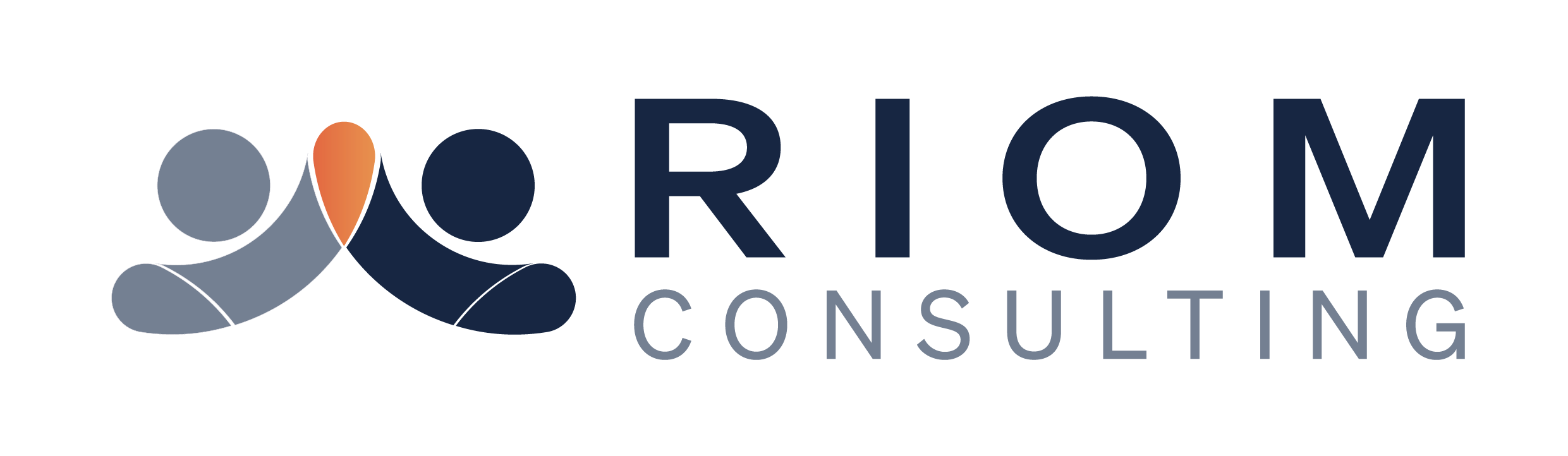 Consulting RIOM